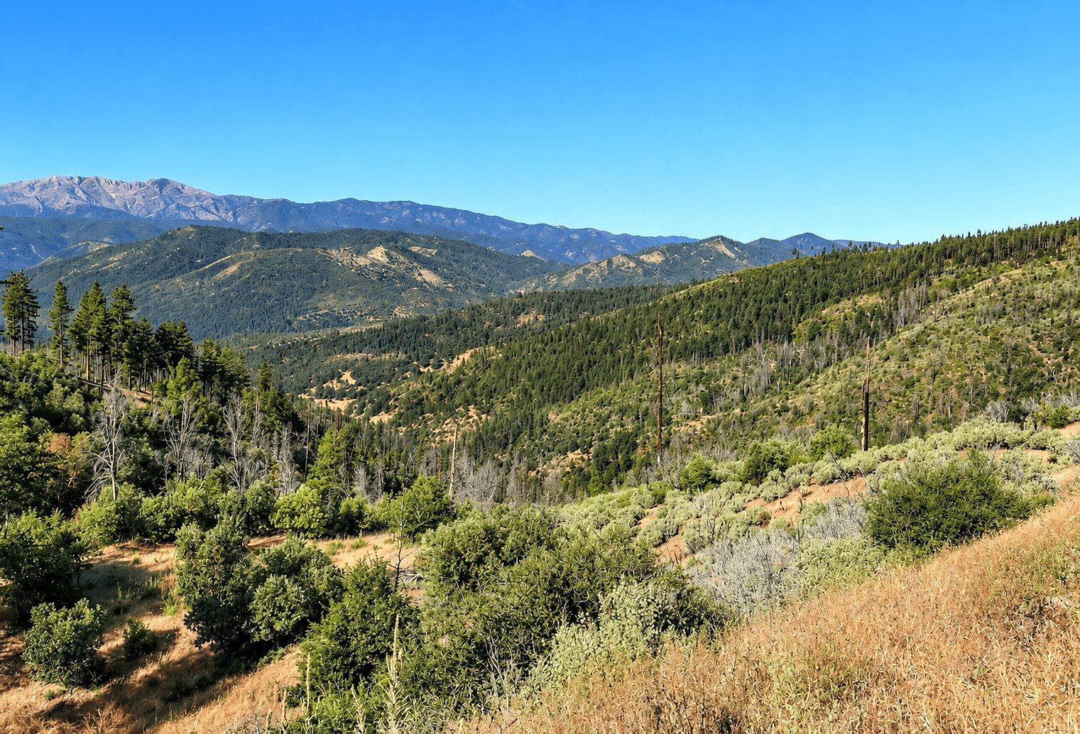 76.5 ac in Horse Creek, CA photo 1