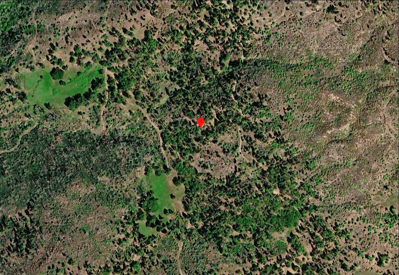 76.5 ac in Horse Creek, CA photo 3