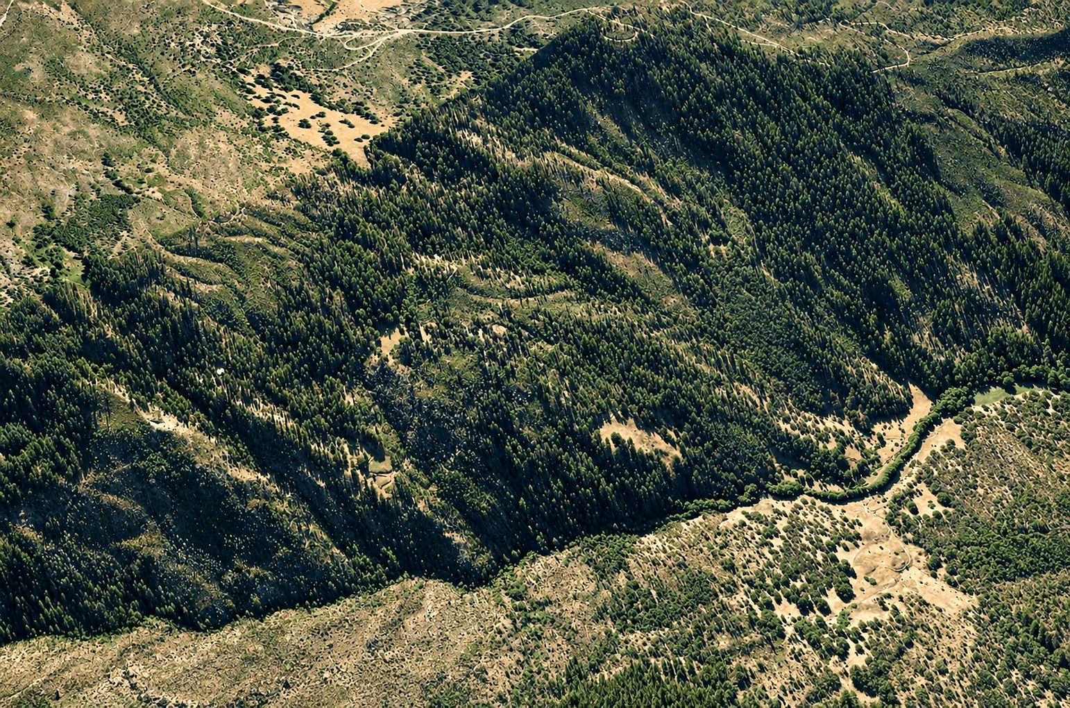 76.5 ac in Horse Creek, CA photo 12