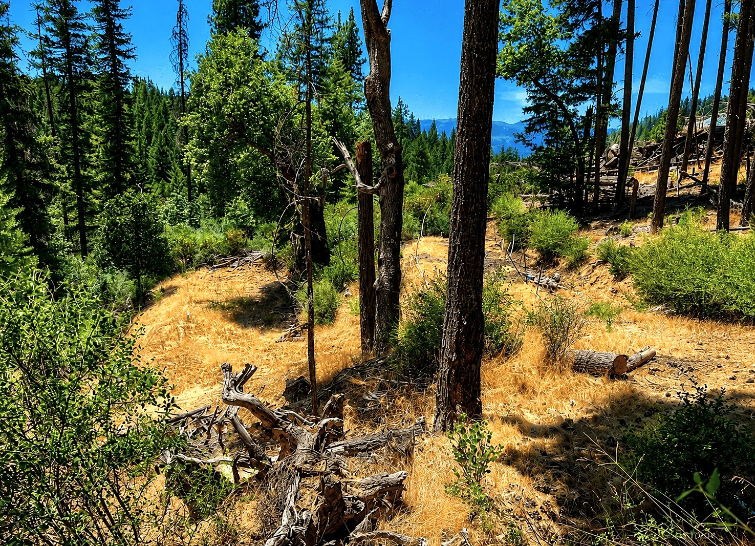 3.34 ac in Hayfork, CA photo 11
