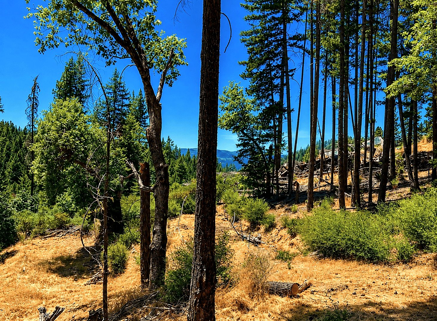 3.34 ac in Hayfork, CA photo 12