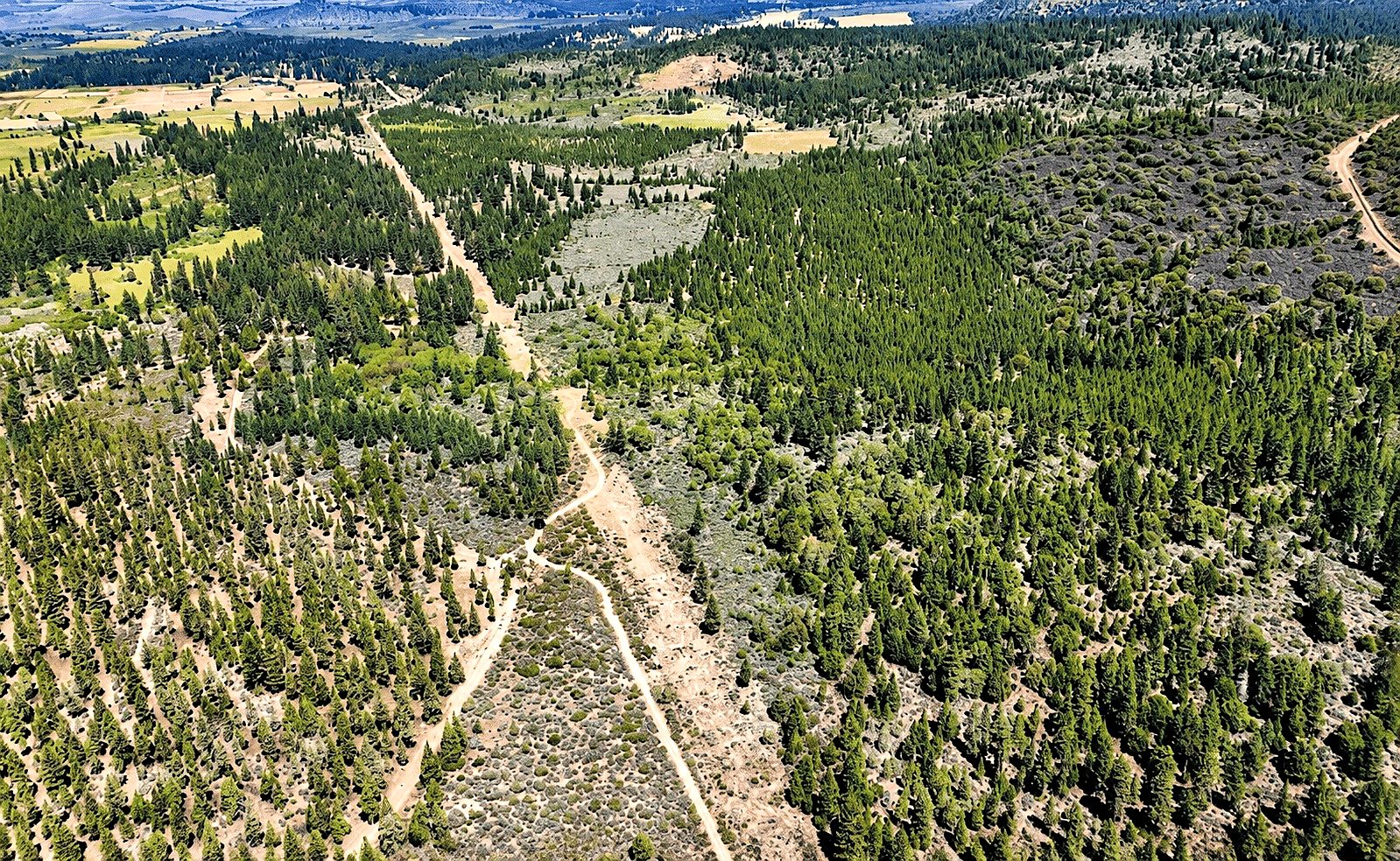 127.5 ac in Weed, CA photo 1