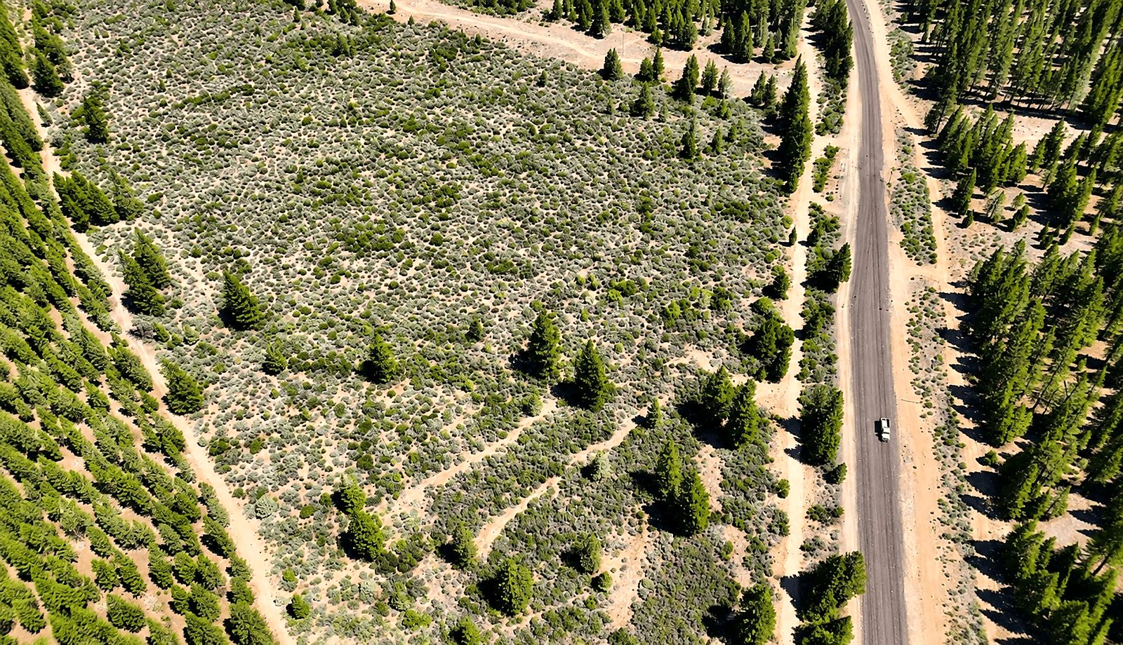 127.5 ac in Weed, CA photo 8