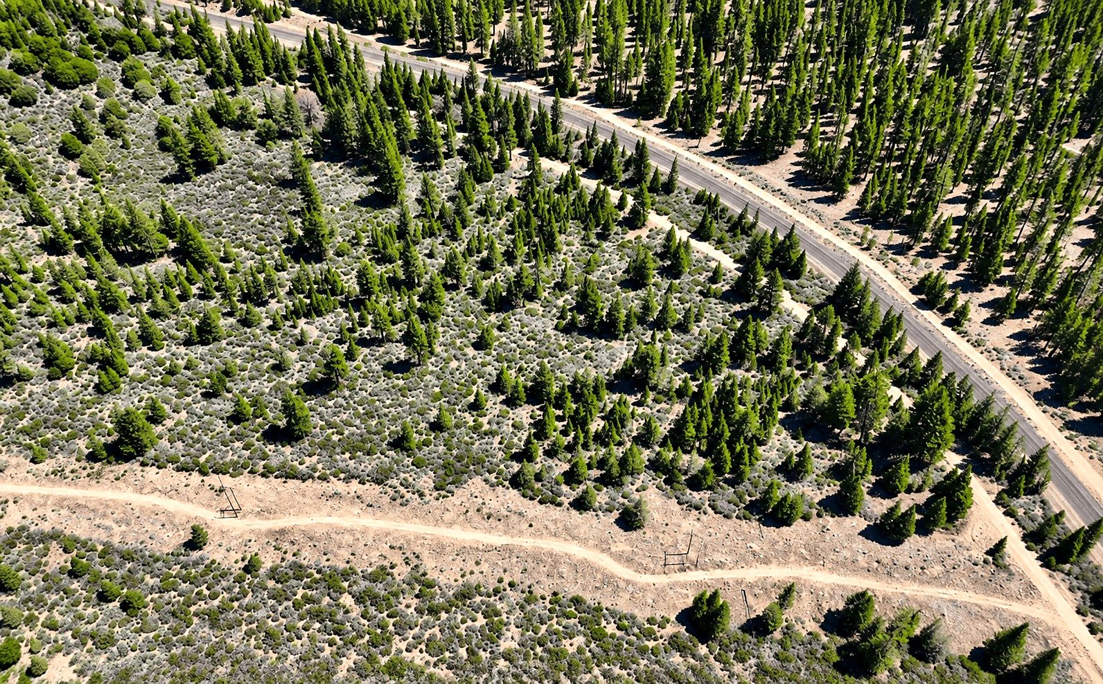 127.5 ac in Weed, CA photo 9
