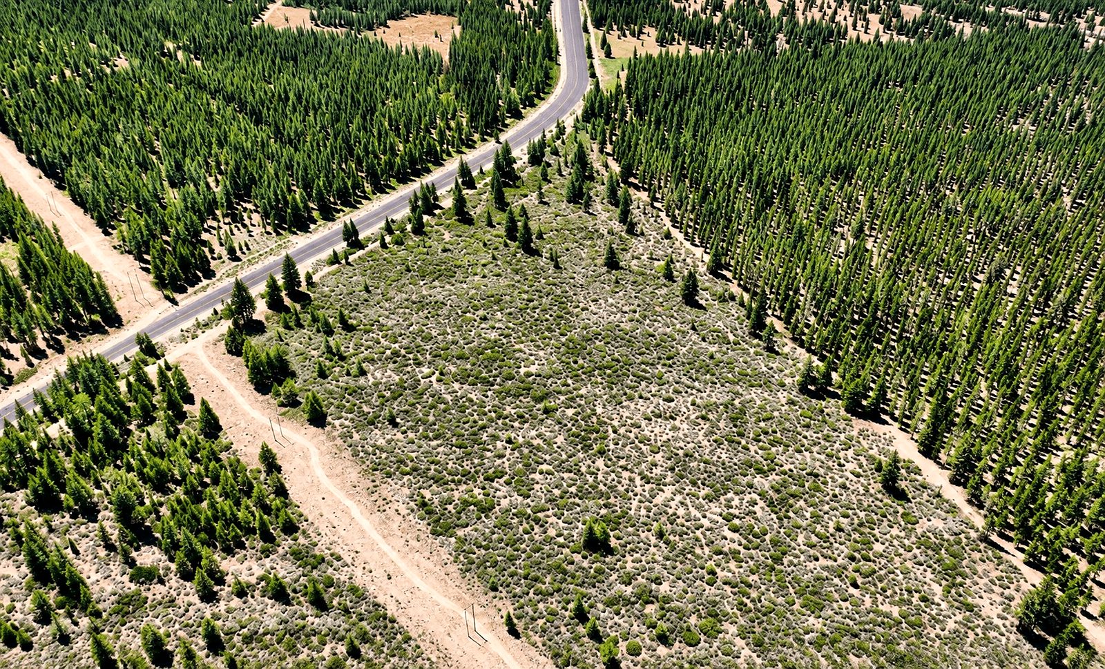 127.5 ac in Weed, CA photo 10