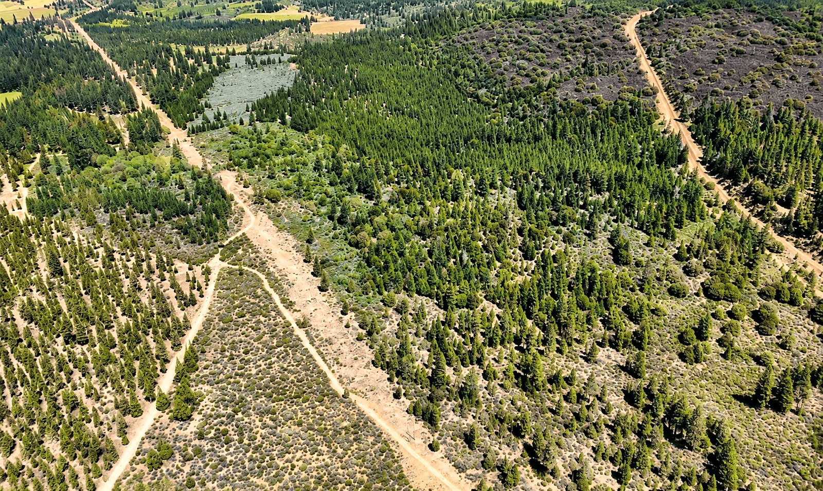 127.5 ac in Weed, CA photo 11