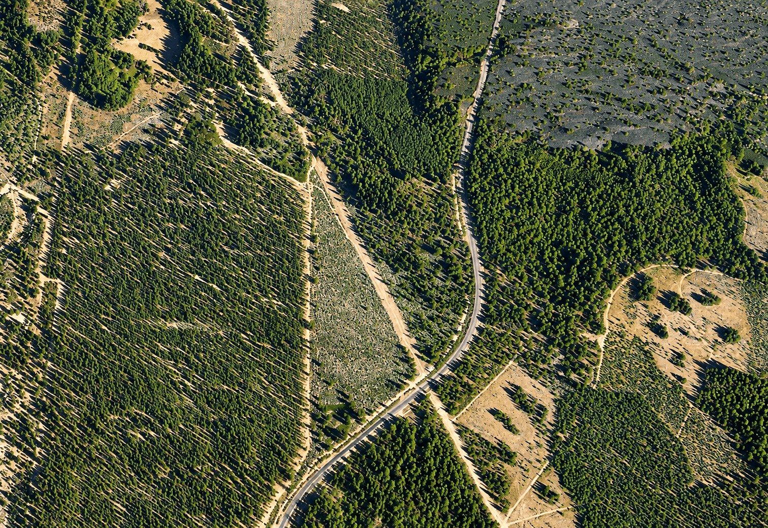 127.5 ac in Weed, CA photo 12