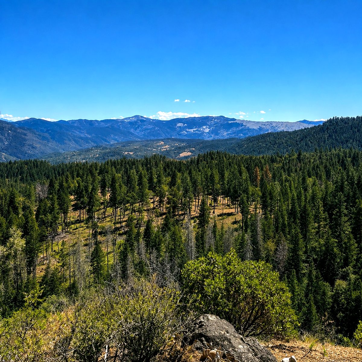 51 ac in Kettenpom, CA photo 1
