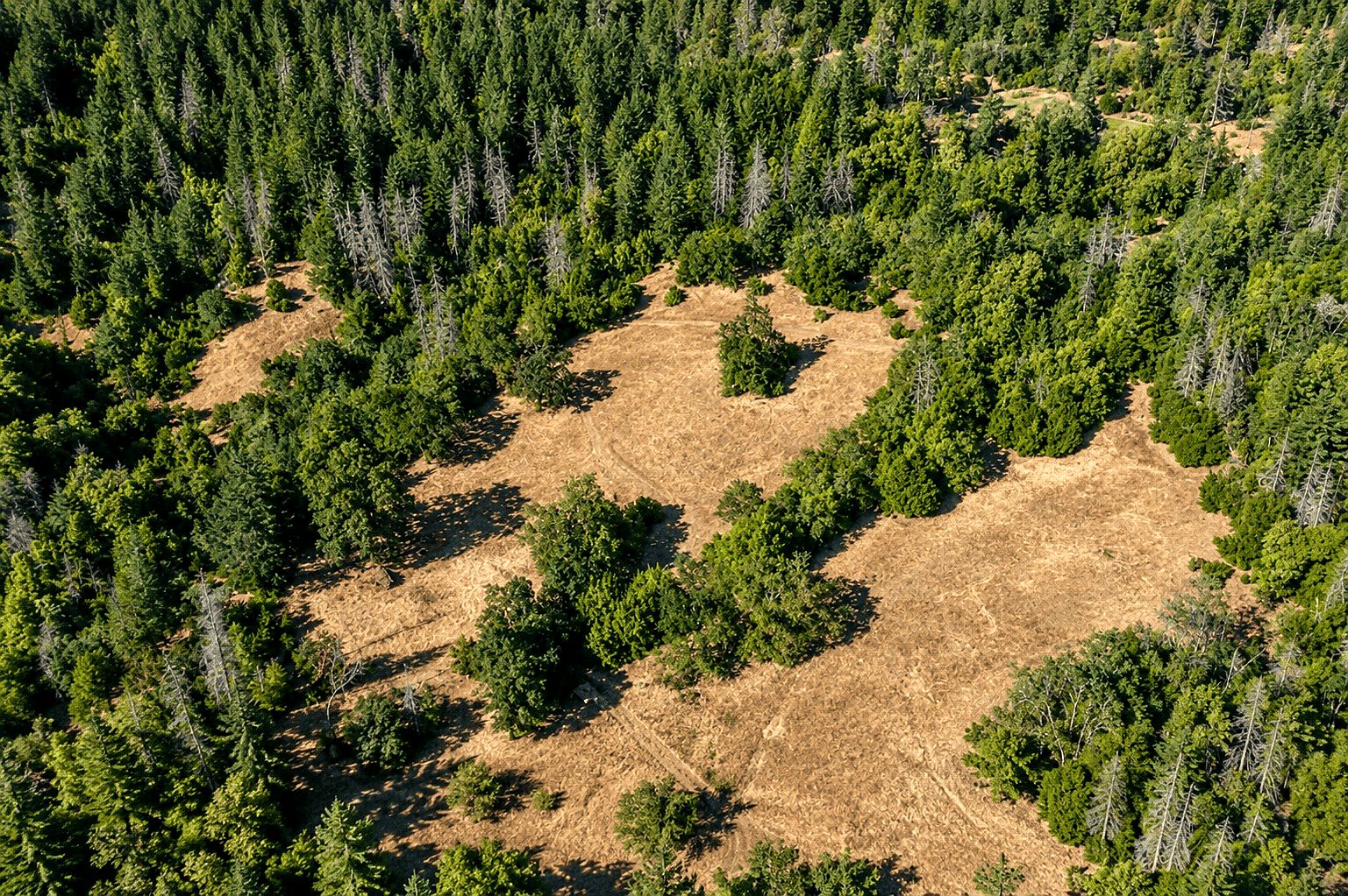 51 ac in Kettenpom, CA photo 10