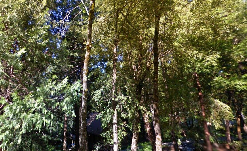 1.90 ac in Nevada City, CA photo 12