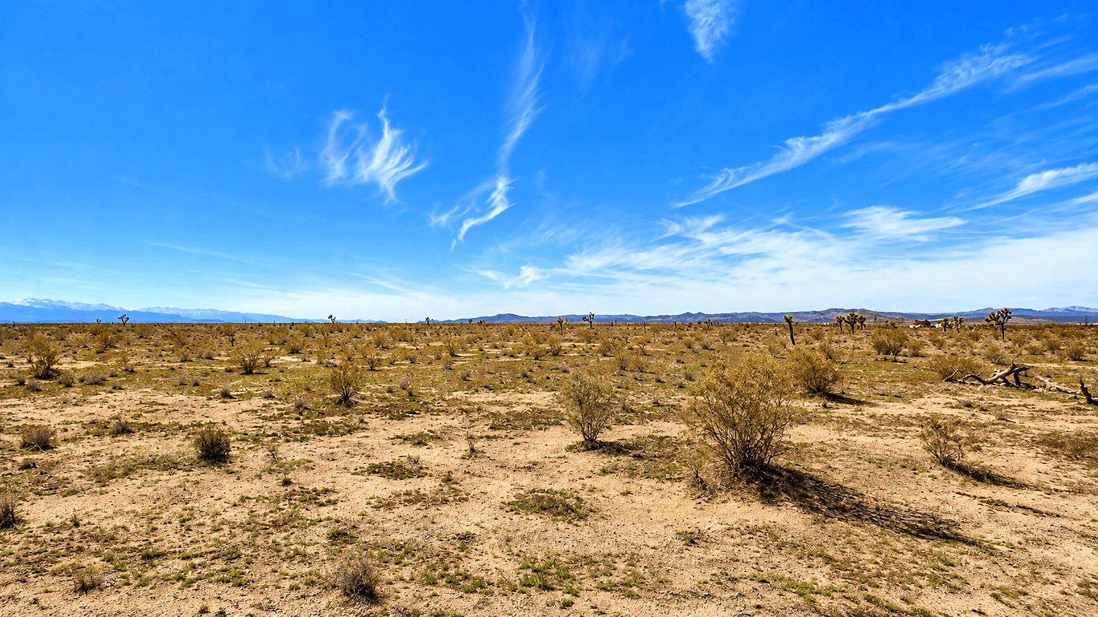 4.34 ac in Adelanto, CA photo 3
