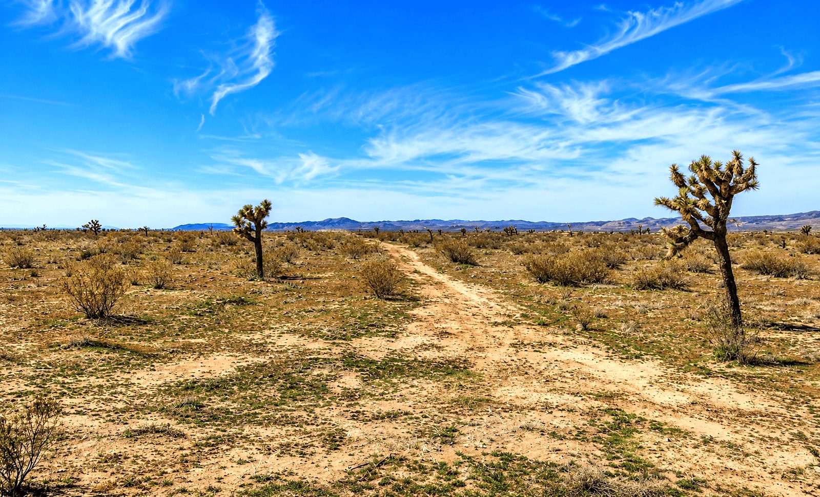 4.34 ac in Adelanto, CA photo 4