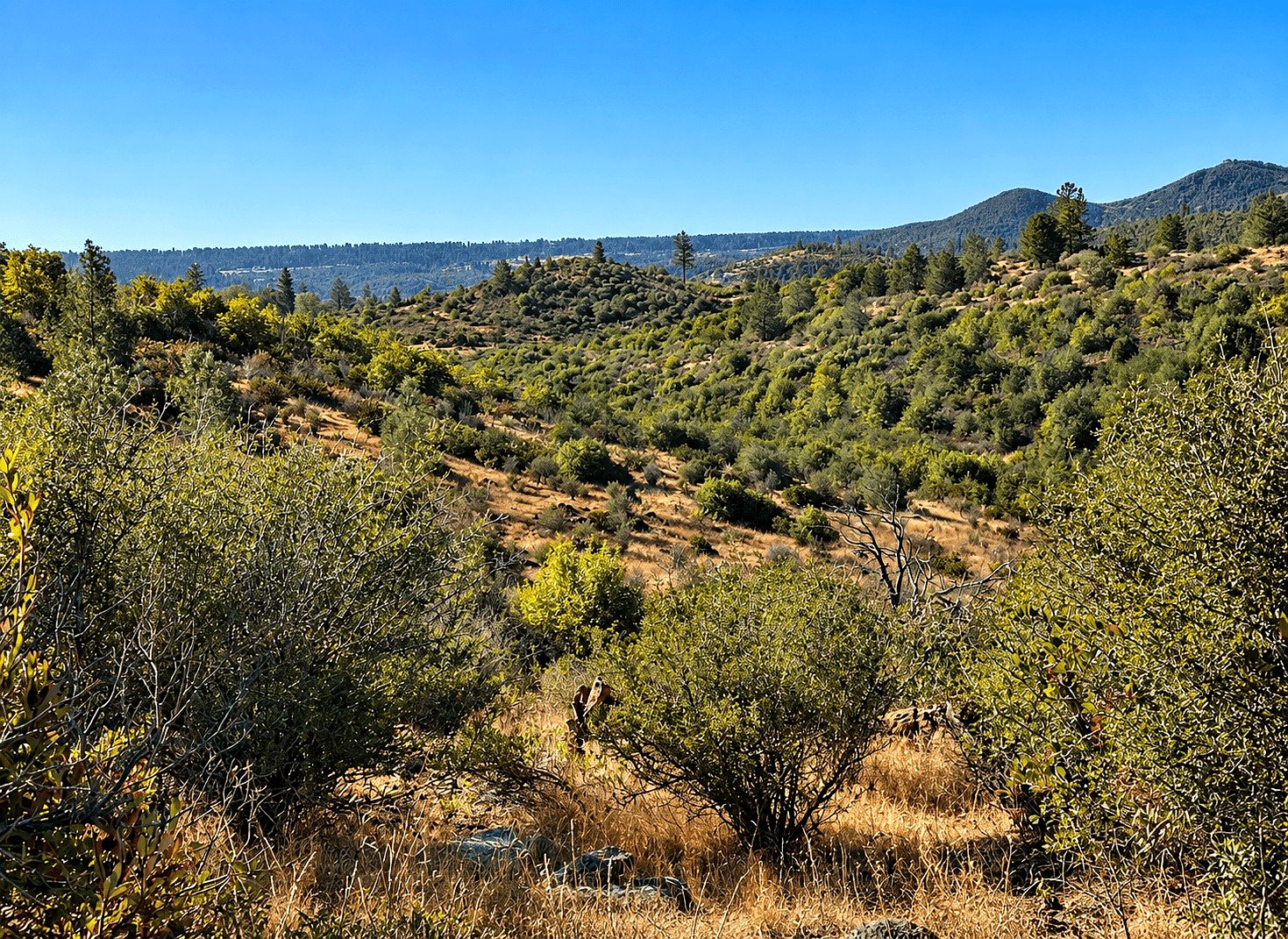 19 ac in Concow, CA photo 1