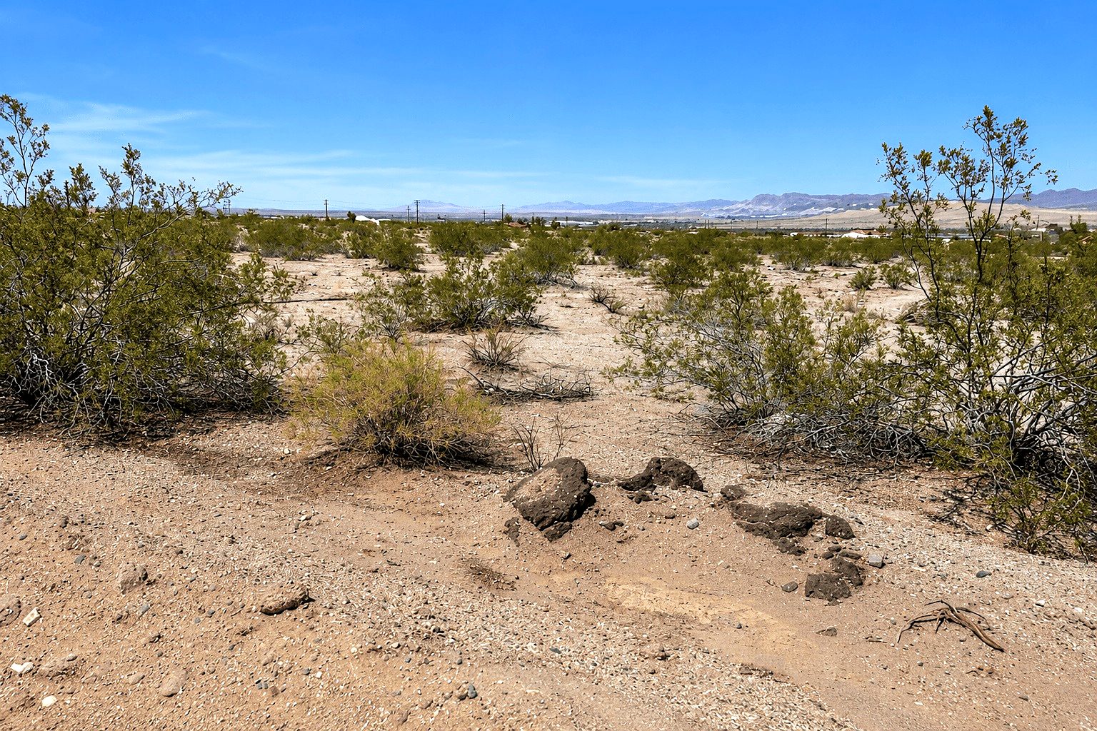 7,800 sqft in Twentynine Palms, CA photo 5