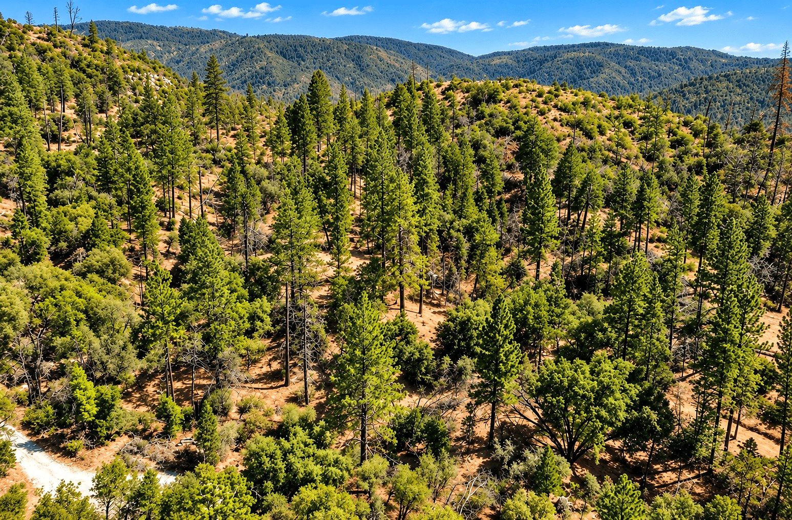 59.34 ac in Oroville, CA photo 7