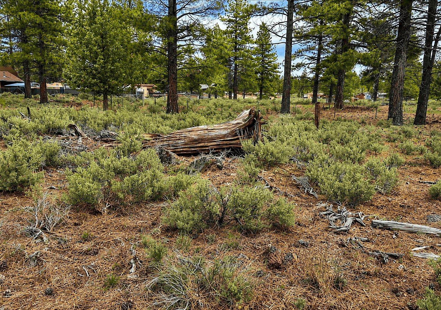12,000 sqft in Spaulding, CA photo 2