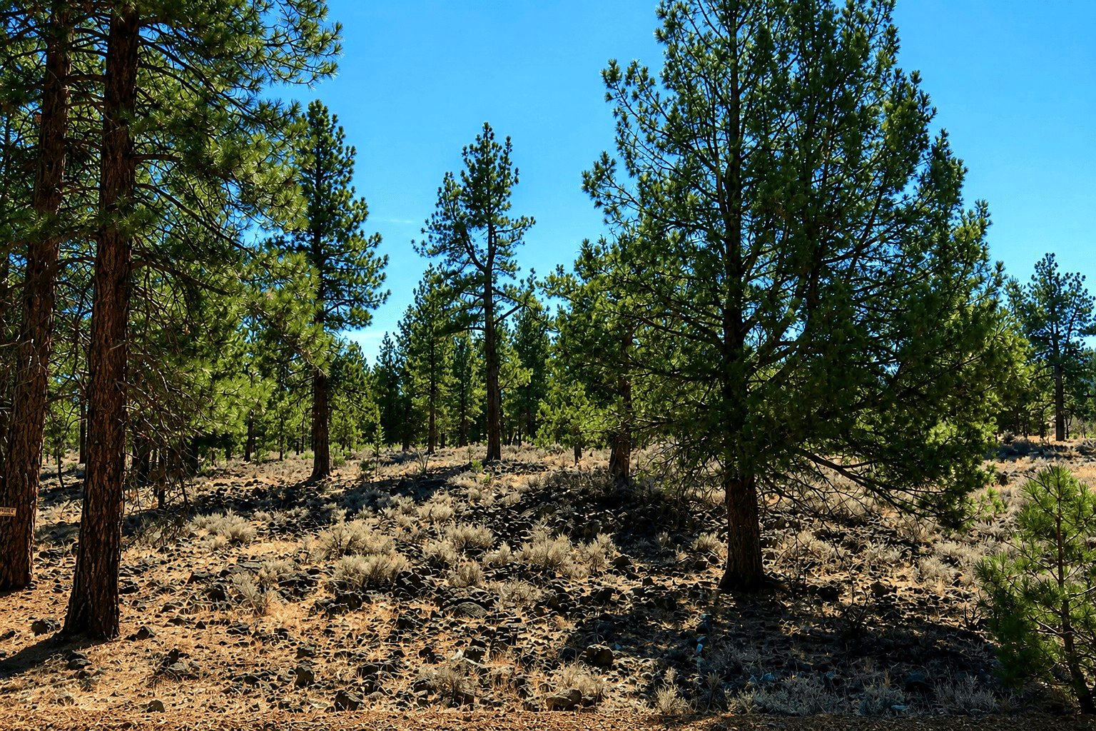 12,000 sqft in Spaulding, CA photo 9