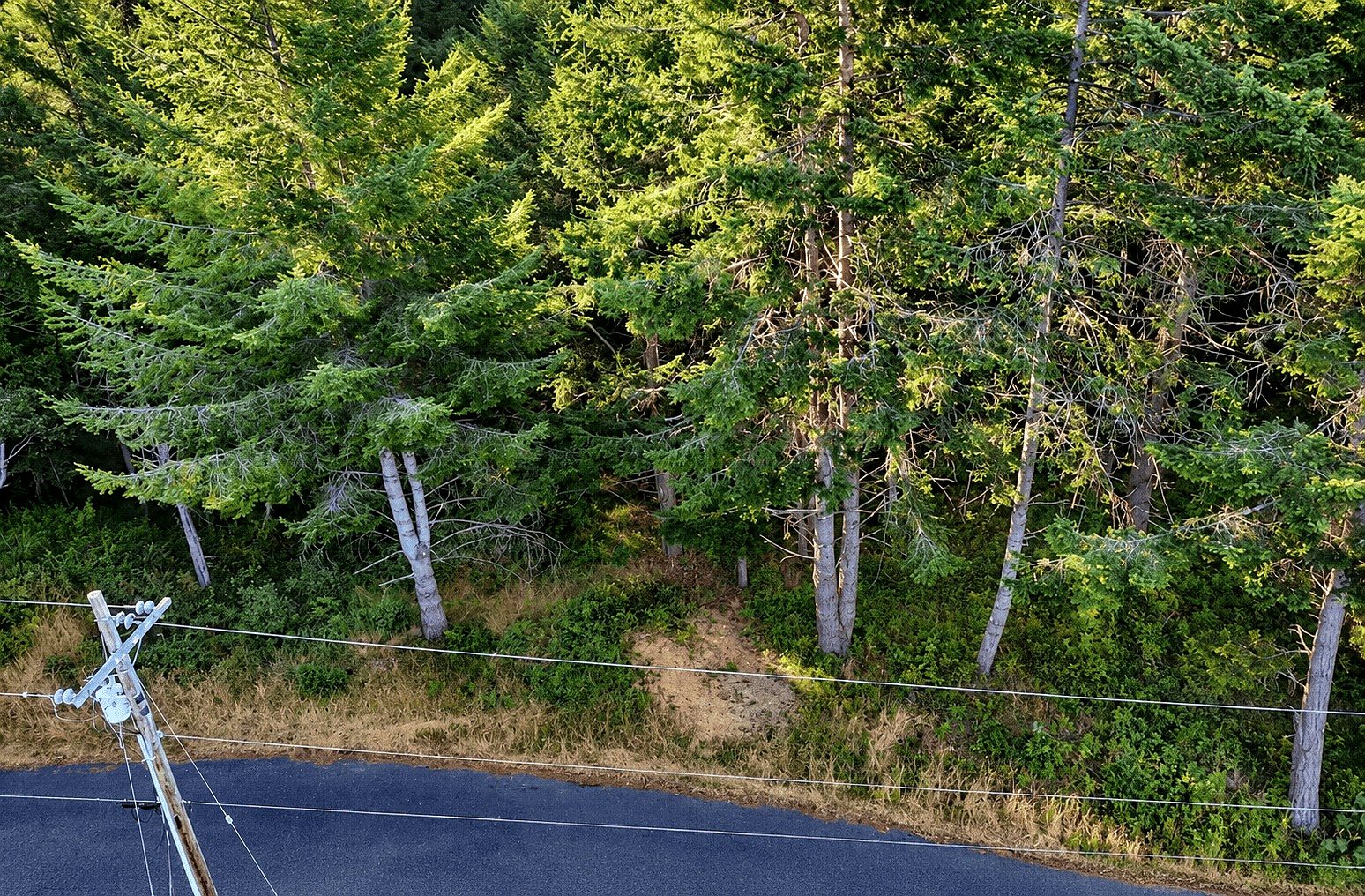 0.30 ac in Shelter Cove, CA photo 6