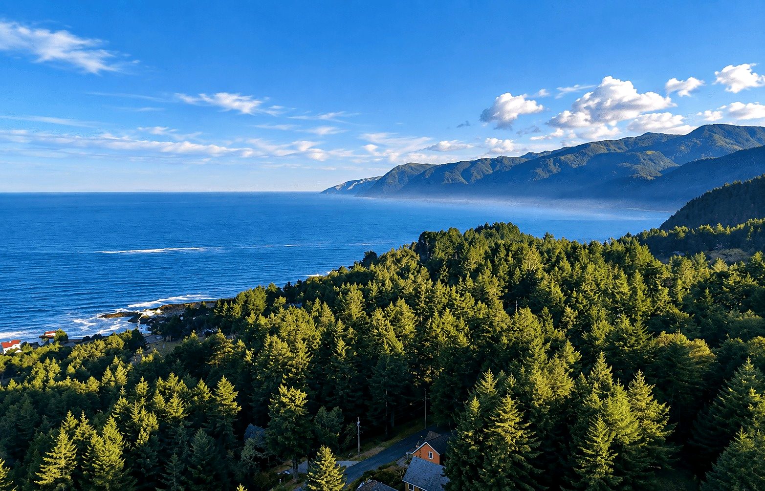 0.30 ac in Shelter Cove, CA photo 9