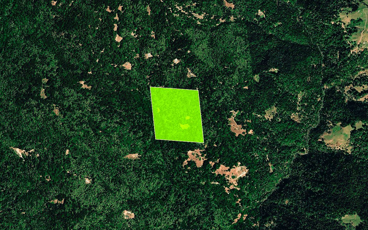 45 ac in Ettersburg, CA photo 3