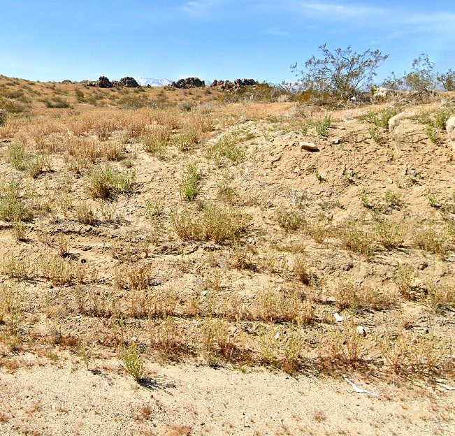 2.22 ac in Lancaster, CA photo 11
