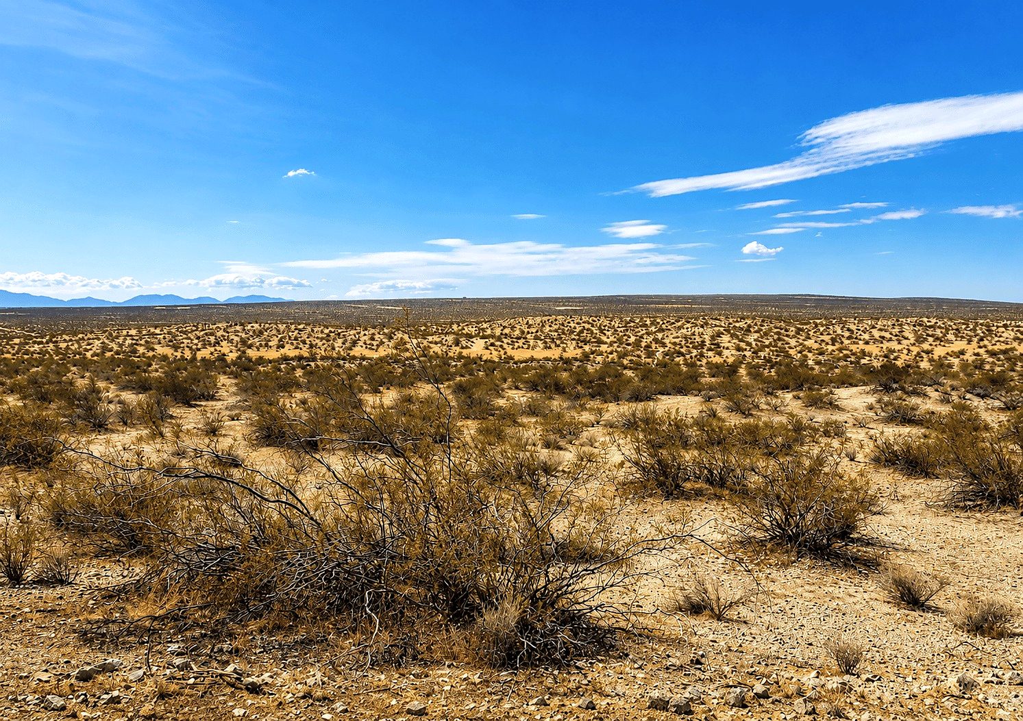 2.63 ac in Hi Vista, CA photo 1