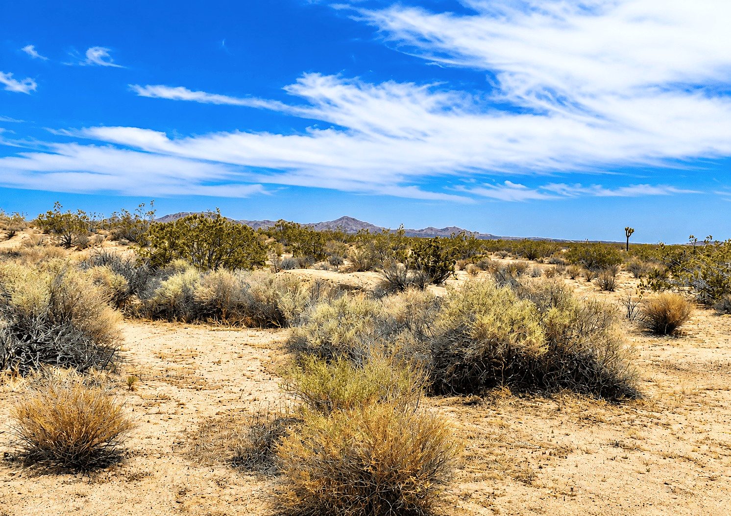 2.63 ac in Hi Vista, CA photo 5