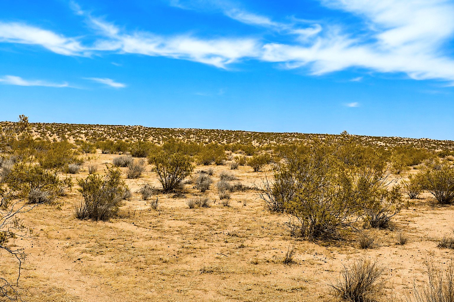 2.63 ac in Hi Vista, CA photo 6