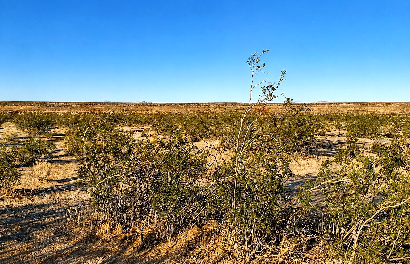 10 ac in Lancaster, CA photo 2