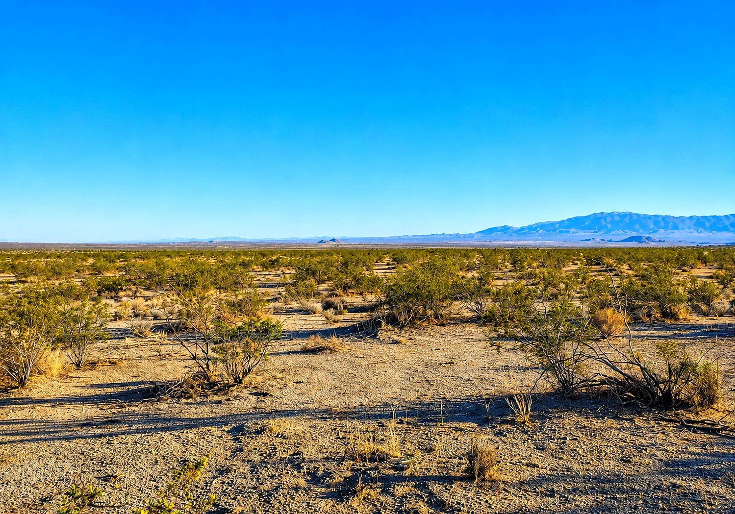 10 ac in Lancaster, CA photo 4
