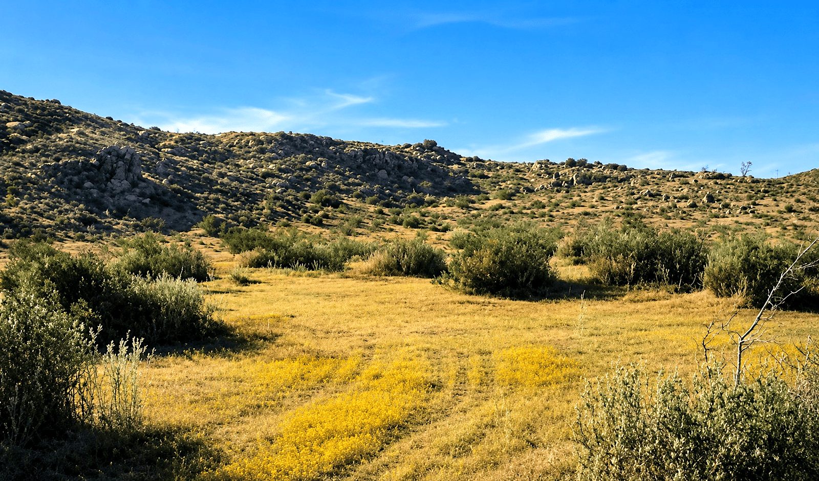 5.12 ac in Hi Vista, CA photo 2