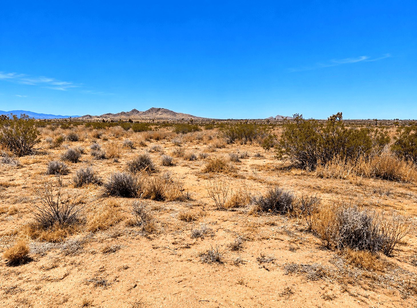 10.64 ac in Hi Vista, CA photo 2
