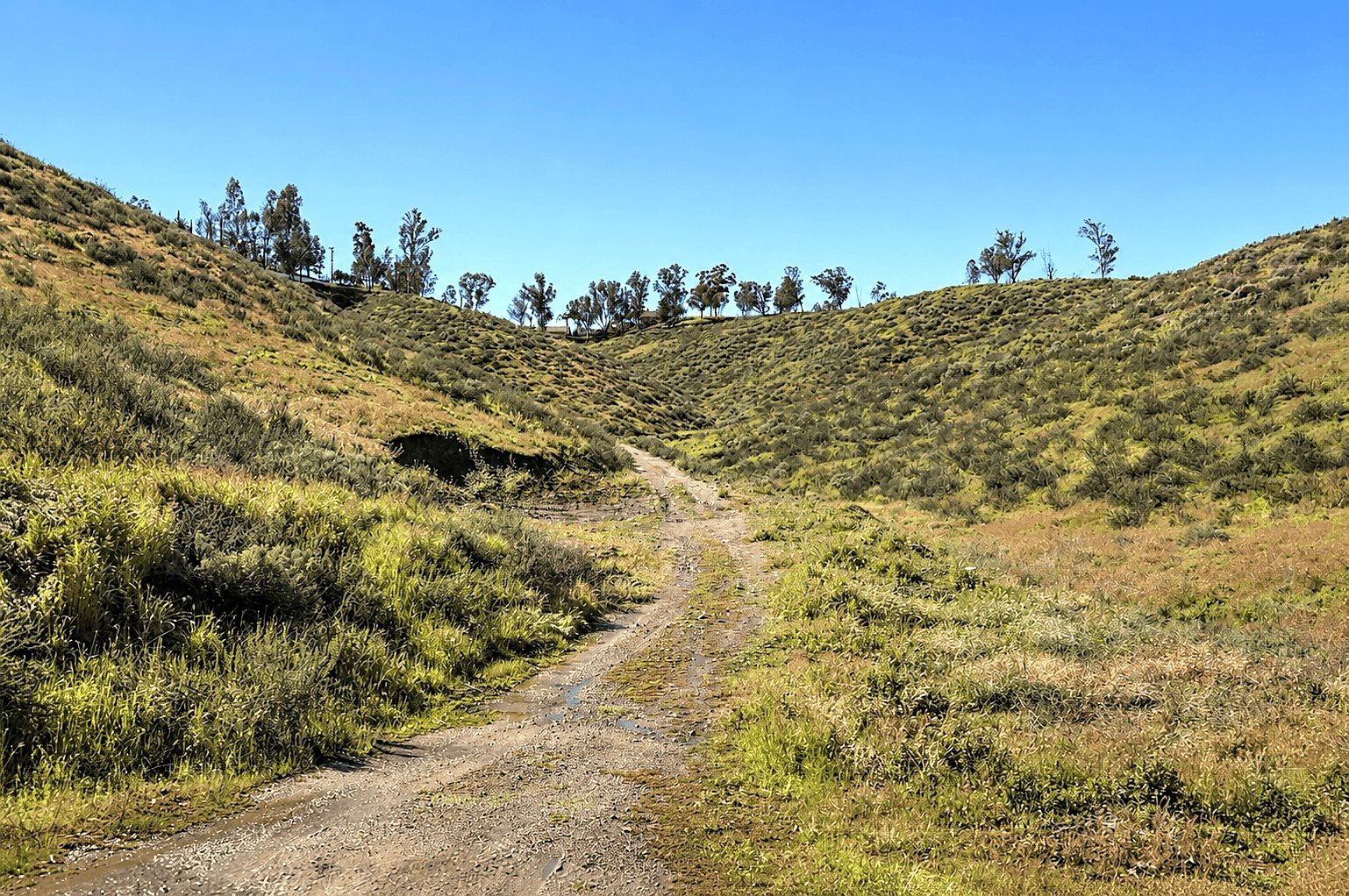 6,534 sqft in Lake Elsinore, CA photo 12