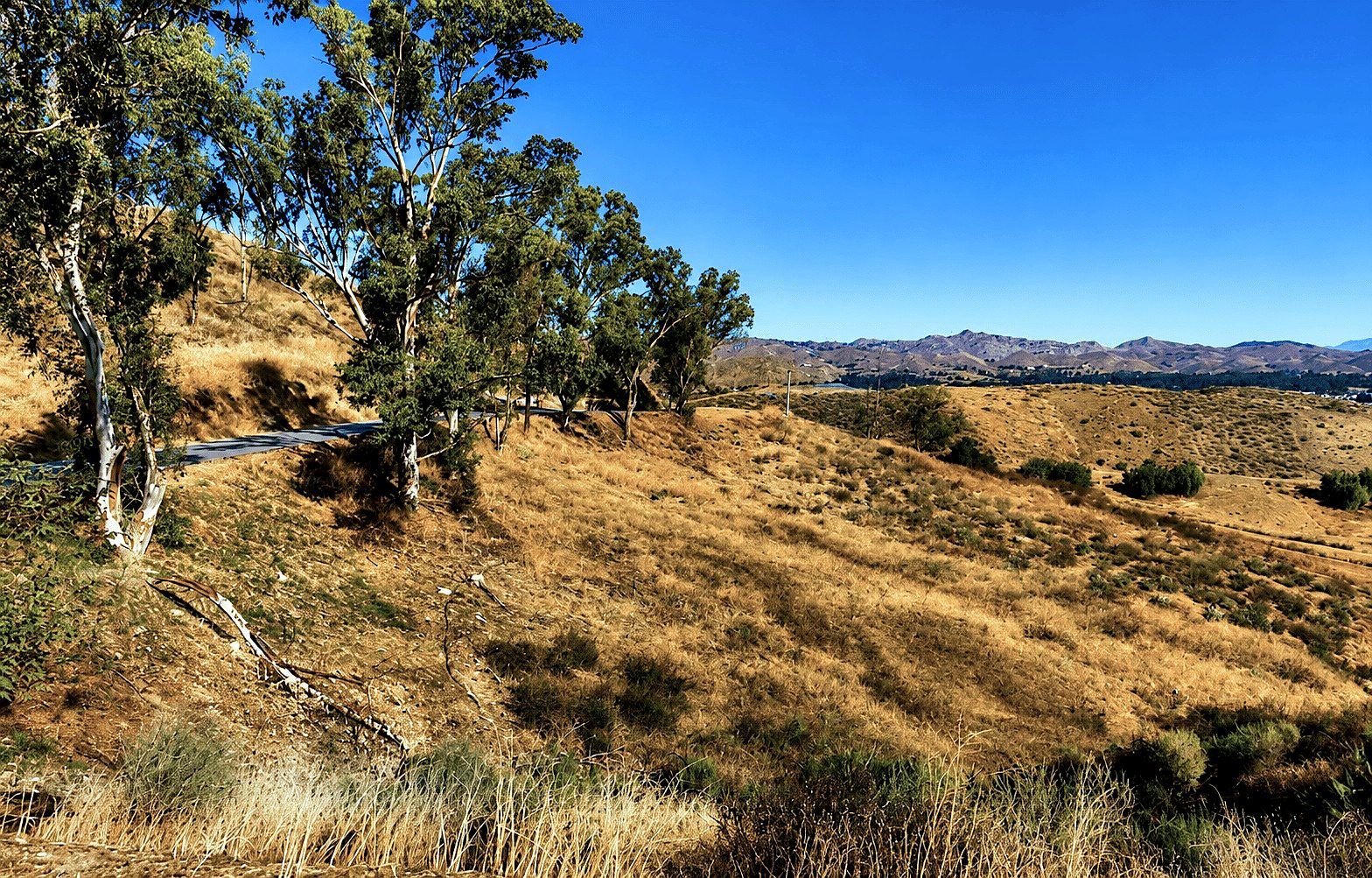 12,632 sqft in Lake Elsinore, CA photo 13
