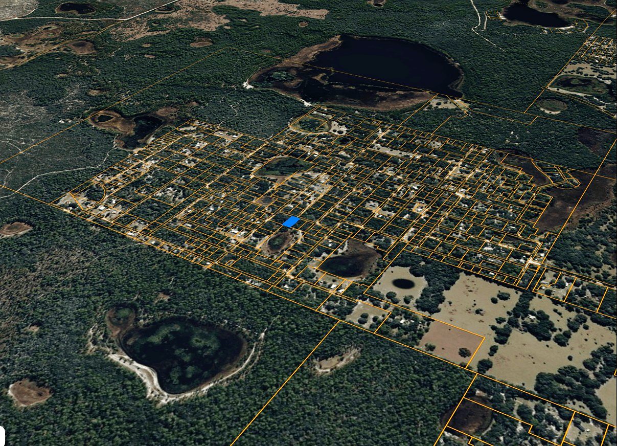19,600 sqft in Ocklawaha, FL photo 2
