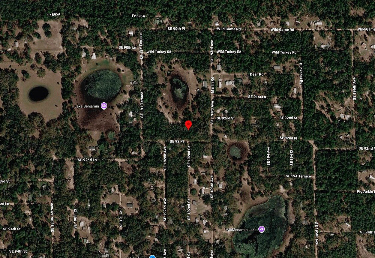 19,600 sqft in Ocklawaha, FL photo 3