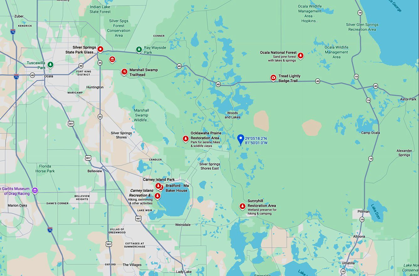 19,600 sqft in Ocklawaha, FL photo 4