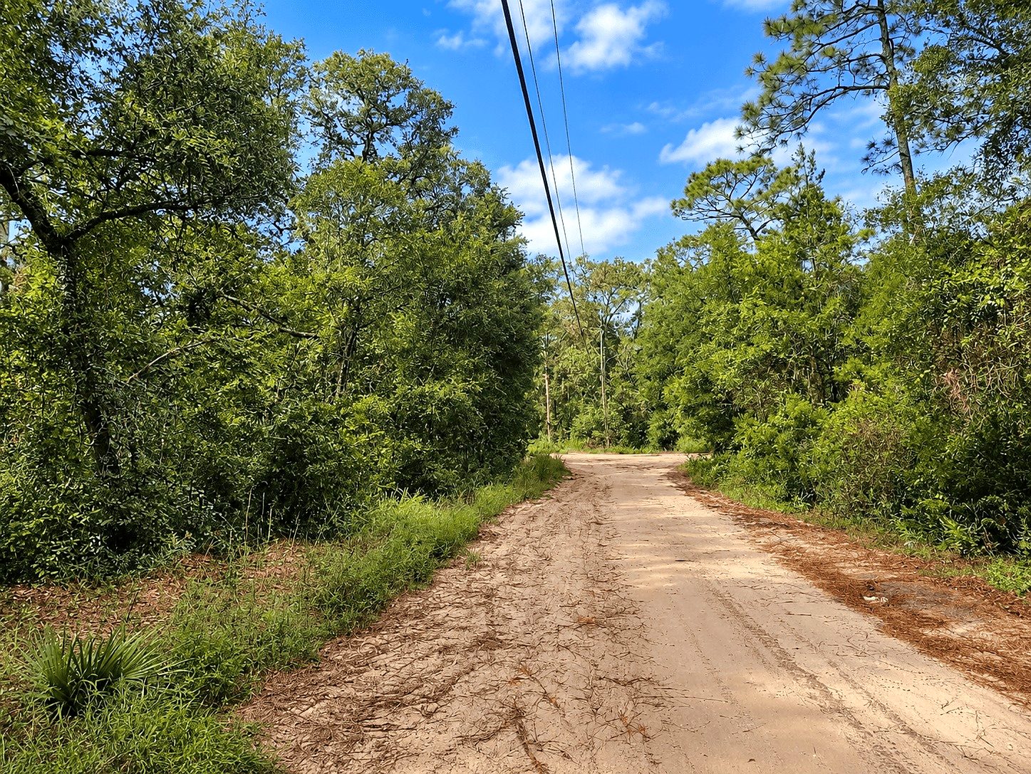 19,600 sqft in Ocklawaha, FL photo 5