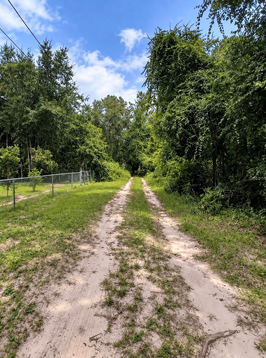 7,840 sqft in Ocklawaha, FL photo 2