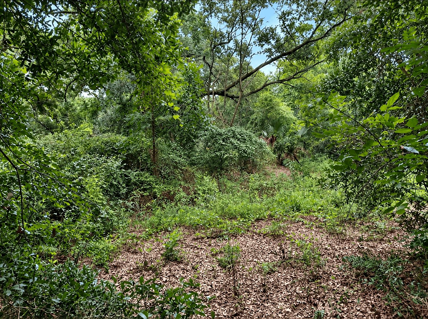 7,840 sqft in Ocklawaha, FL photo 1