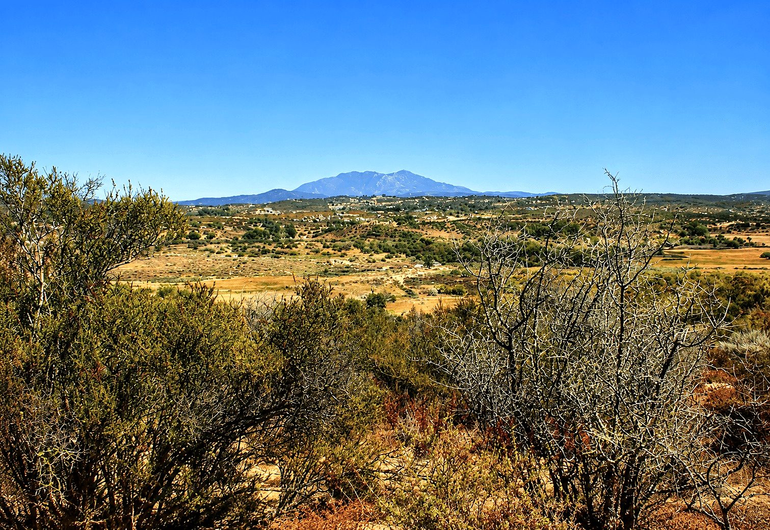 9.06 ac in Anza, CA photo 19