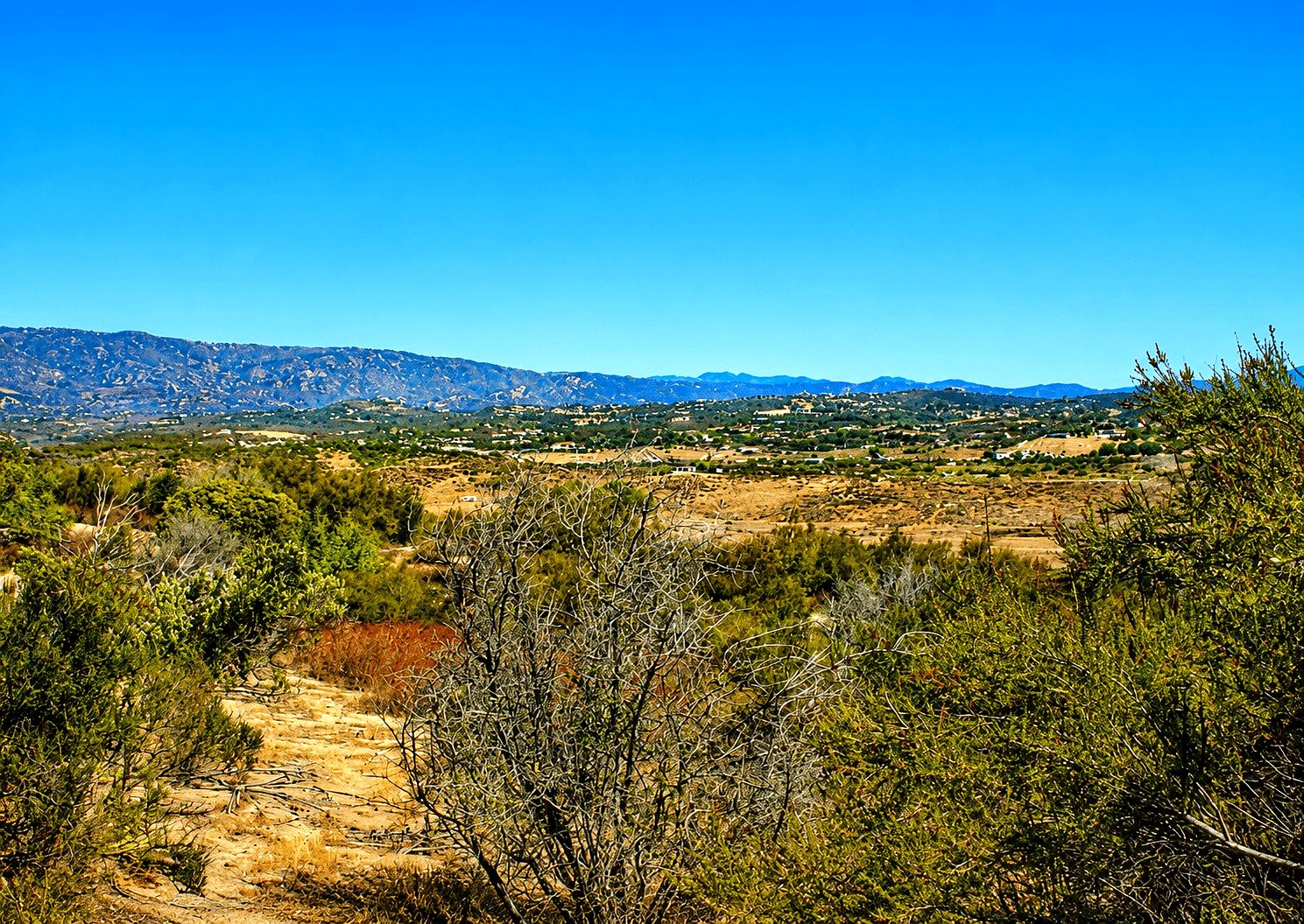 9.06 ac in Anza, CA photo 20