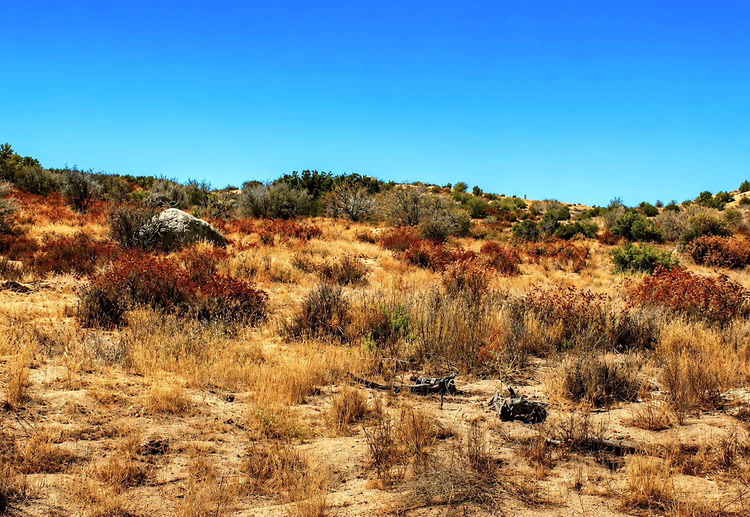 9.06 ac in Anza, CA photo 21