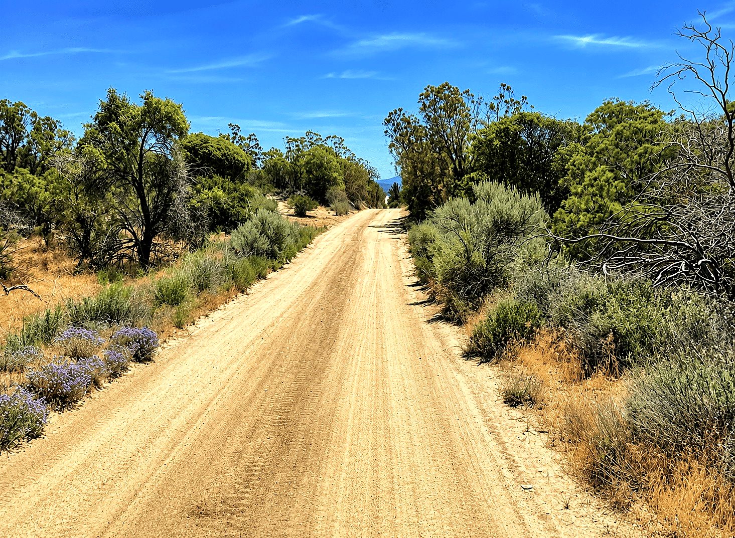 9.06 ac in Anza, CA photo 22