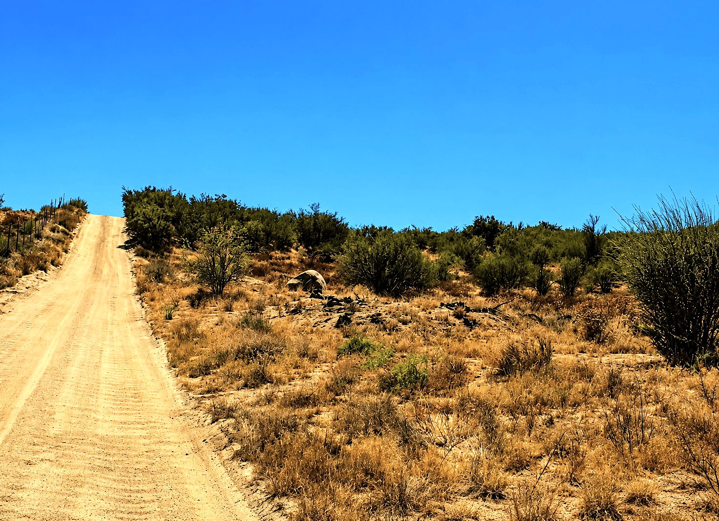9.06 ac in Anza, CA photo 23